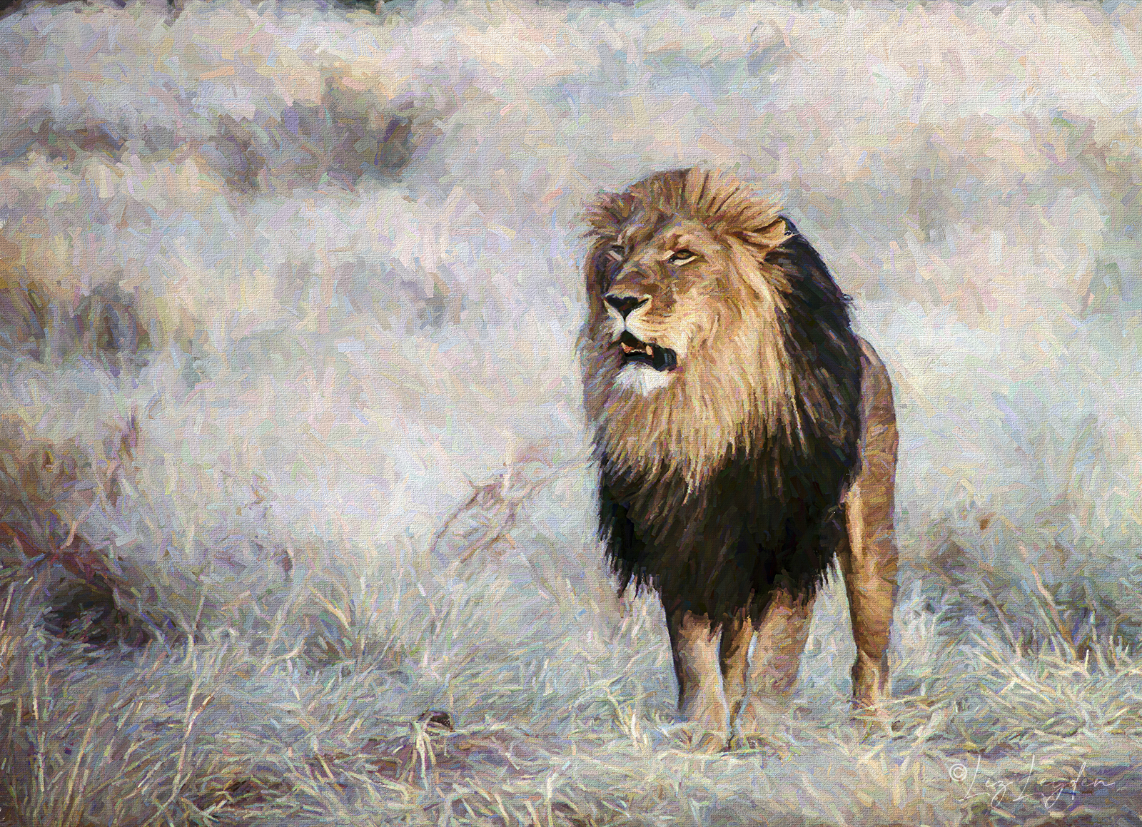 Lion