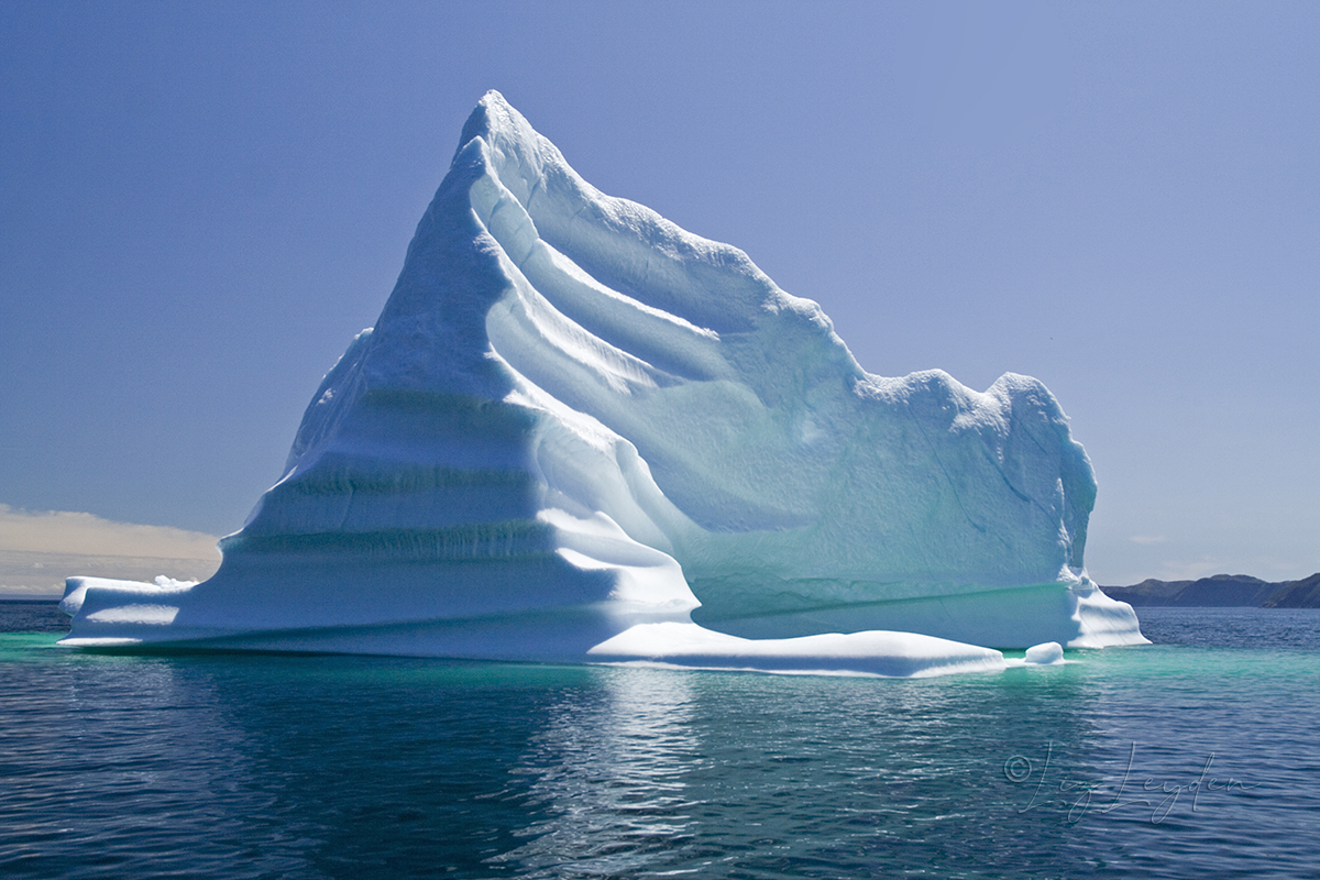 Iceberg Canada 2024 - Danit Elenore