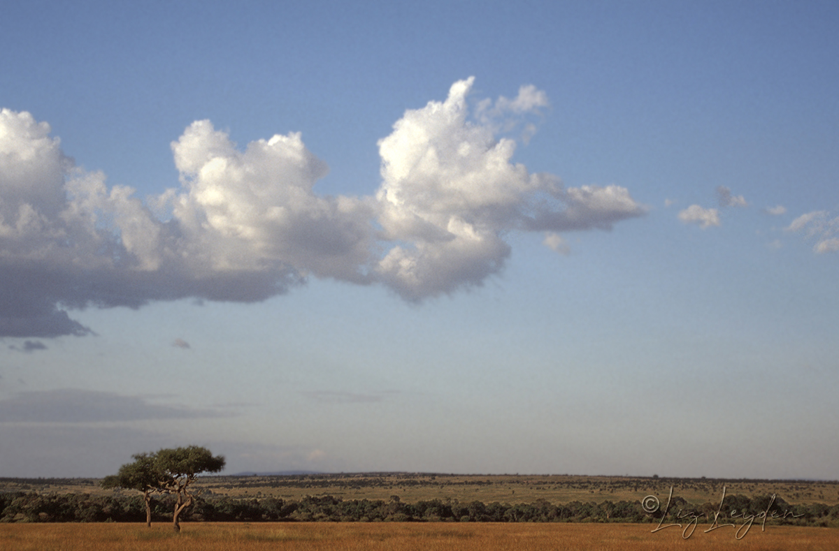 Sky with cloud over the Masai Mara
