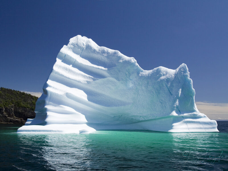 Iceberg