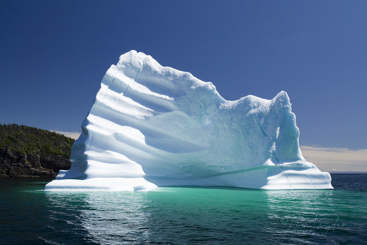 Iceberg